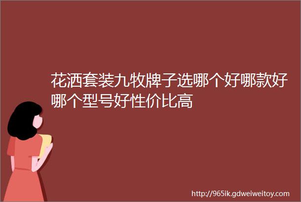 花洒套装九牧牌子选哪个好哪款好哪个型号好性价比高